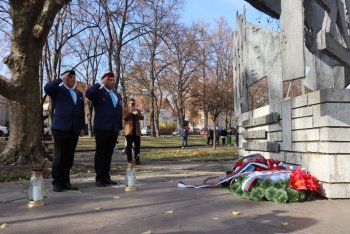 Spomienka na koniec Prvej svetovej vojny – Deň červených makov