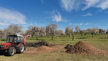 Úprava mestského sadu na Papuľke po zimnom období