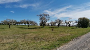 Úprava mestského sadu na Papuľke po zimnom období