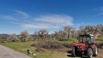 Úprava mestského sadu na Papuľke po zimnom období