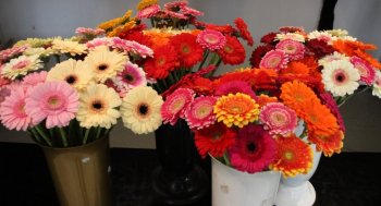 Cena Jána Amosa Komenského tretíkrát odovzdaná krupinským učiteľom