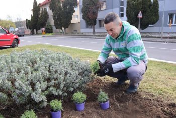 Medzinárodný Deň Zeme aj v Krupine