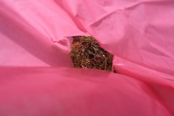 Medzinárodný Deň Zeme aj v Krupine