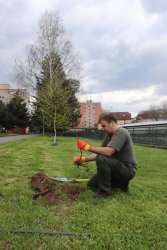 Medzinárodný Deň Zeme aj v Krupine