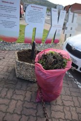 Medzinárodný Deň Zeme aj v Krupine