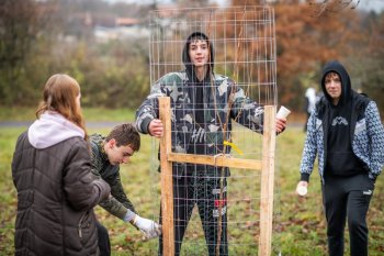 Výsadba ovocných stromov v Krupine v rámci projektu Výsadba ovocných stromov v Krupine v rámci projektu