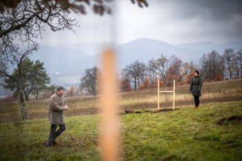 Výsadba ovocných stromov v Krupine v rámci projektu Výsadba ovocných stromov v Krupine v rámci projektu