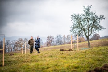 Výsadba ovocných stromov v Krupine v rámci projektu Výsadba ovocných stromov v Krupine v rámci projektu