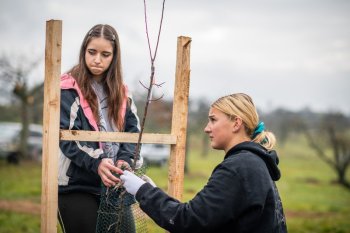 Výsadba ovocných stromov v Krupine v rámci projektu Výsadba ovocných stromov v Krupine v rámci projektu