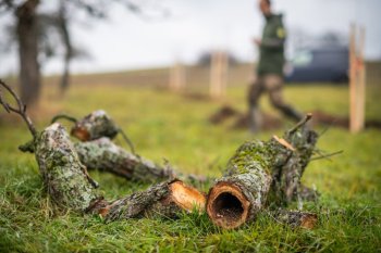 Výsadba ovocných stromov v Krupine v rámci projektu Výsadba ovocných stromov v Krupine v rámci projektu