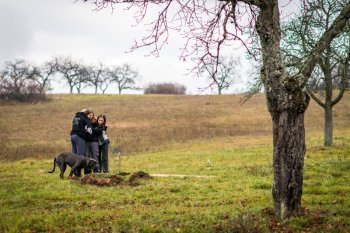 Výsadba ovocných stromov v Krupine v rámci projektu Výsadba ovocných stromov v Krupine v rámci projektu