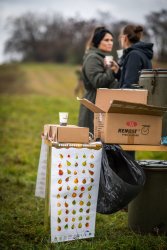 Výsadba ovocných stromov v Krupine v rámci projektu Výsadba ovocných stromov v Krupine v rámci projektu