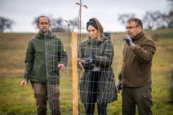 Výsadba ovocných stromov v Krupine v rámci projektu Výsadba ovocných stromov v Krupine v rámci projektu