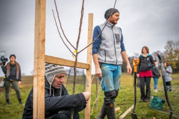Výsadba ovocných stromov v Krupine v rámci projektu Výsadba ovocných stromov v Krupine v rámci projektu