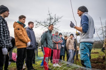 Výsadba ovocných stromov v Krupine v rámci projektu Výsadba ovocných stromov v Krupine v rámci projektu