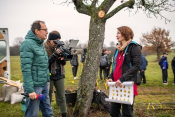 Výsadba ovocných stromov v Krupine v rámci projektu Výsadba ovocných stromov v Krupine v rámci projektu