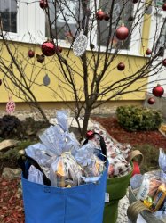 Mikuláš navštívil Krupinu a rozžiaril vianočný stromček na námestí