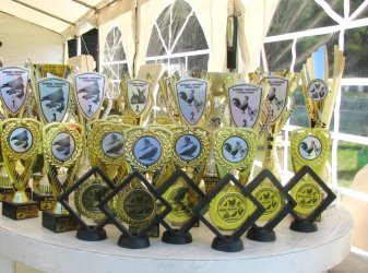 Ceny úspešným chovateľom sú rozdané