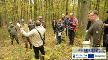 Mestské lesy, s.r.o Krupina sa zapojili do realizácie cezhraničného projektu
