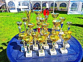 Na krupinskú výstavu lákali zvieratá a tiež slnečné počasie