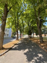 Park Andreja Sládkoviča čaká rozsiahla obnova