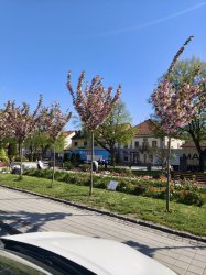 Deň Zeme v Krupine – mesto opäť ožilo zeleňou aj dobrými skutkami