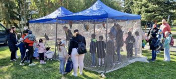 Deň Zeme v Krupine – mesto opäť ožilo zeleňou aj dobrými skutkami