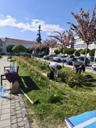 Deň Zeme v Krupine – mesto opäť ožilo zeleňou aj dobrými skutkami