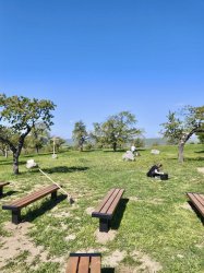 Deň Zeme v Krupine – mesto opäť ožilo zeleňou aj dobrými skutkami