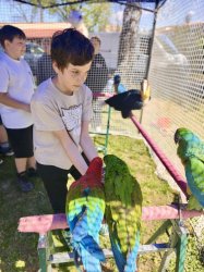 Deň Zeme v Krupine – mesto opäť ožilo zeleňou aj dobrými skutkami