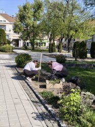 Deň Zeme v Krupine – mesto opäť ožilo zeleňou aj dobrými skutkami