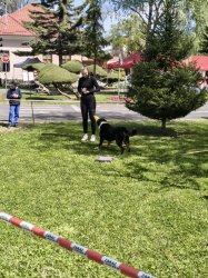 Deň Zeme v Krupine – mesto opäť ožilo zeleňou aj dobrými skutkami