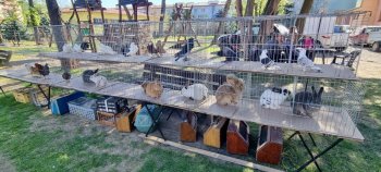 Deň Zeme v Krupine – mesto opäť ožilo zeleňou aj dobrými skutkami