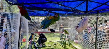 Deň Zeme v Krupine – mesto opäť ožilo zeleňou aj dobrými skutkami