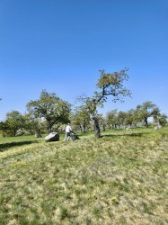 Deň Zeme v Krupine – mesto opäť ožilo zeleňou aj dobrými skutkami